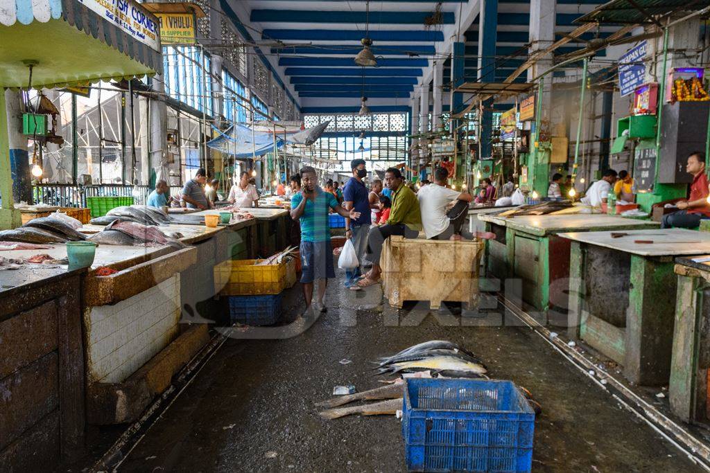 The fish market inside New Market, Kolkata, India, 2022