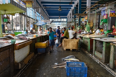 The fish market inside New Market, Kolkata, India, 2022