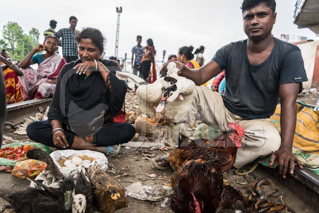 Ducks tied up and on sale for meat at an open air market