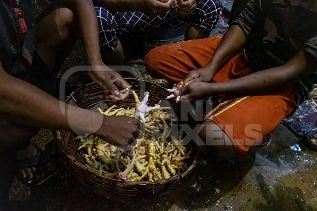 Workers with chicken feet at the chicken meat market inside New Market, Kolkata, India, 2022