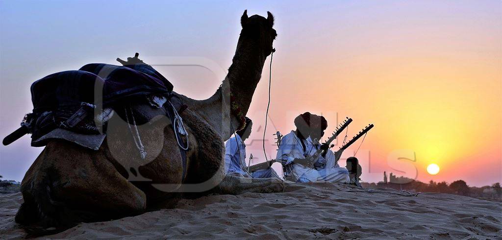 Dark silhouette of men and camel sitting in desert with sunset