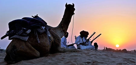 Dark silhouette of men and camel sitting in desert with sunset