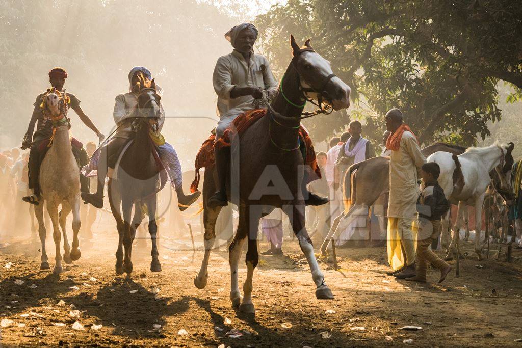 Horse in a horse race at Sonepur cattle fair with spectators watching