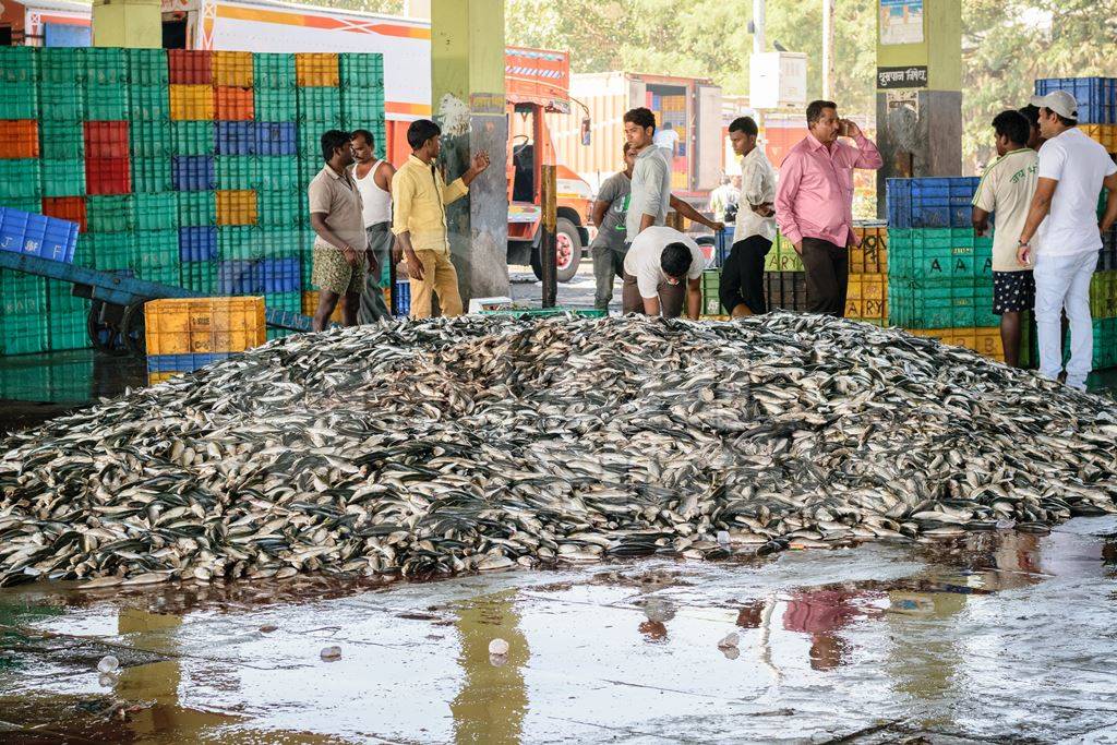 Large pile of fish on sale with buyers and crates at a fish market at Sassoon Docks