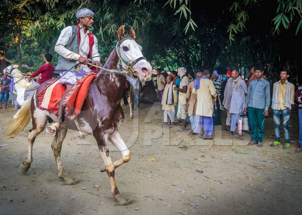One man riding a brown and white horse at a horse race at Sonepur horse fair