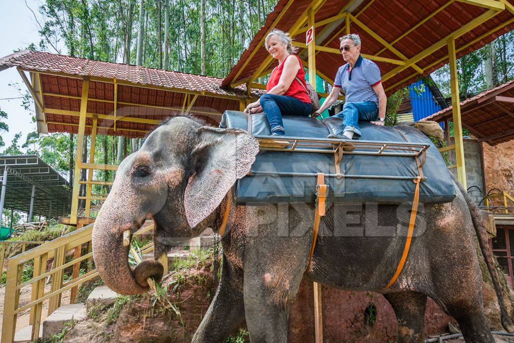 Tourists riding an elephant used for tourist rides in the hills of Munnar in Kerala
