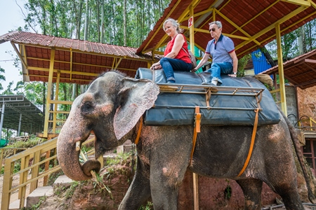 Tourists riding an elephant used for tourist rides in the hills of Munnar in Kerala