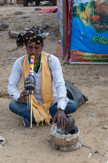 Snake charmer man with cobra snake in basket and pungi instrument begging for money at Pushkar camel fair, India, 2019