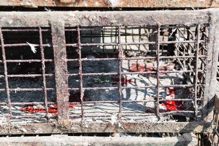 Empty chicken cage or crate with blood stains at Ghazipur murga mandi, Ghazipur, Delhi, India, 2022