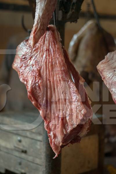 Piece of buffalo meat hanging on hooks inside Crawford meat market in Mumbai, India, 2016