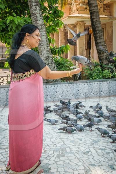 Lady in sari feeding flock of pigeons inside temple courtyard