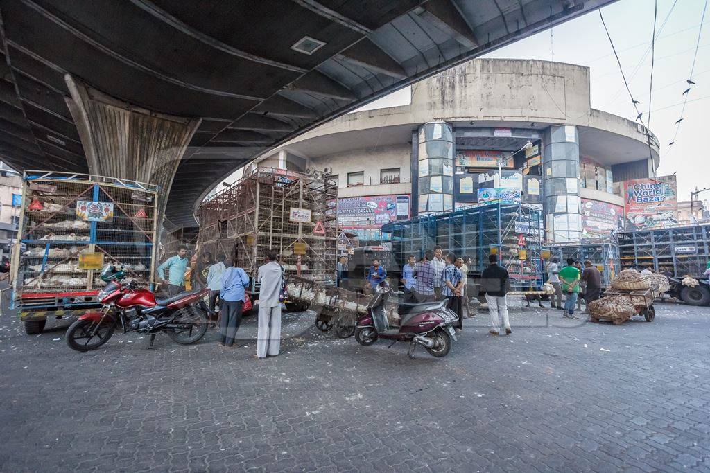 Broiler chickens raised for meat being unloaded from transport trucks near Crawford meat market in Mumbai