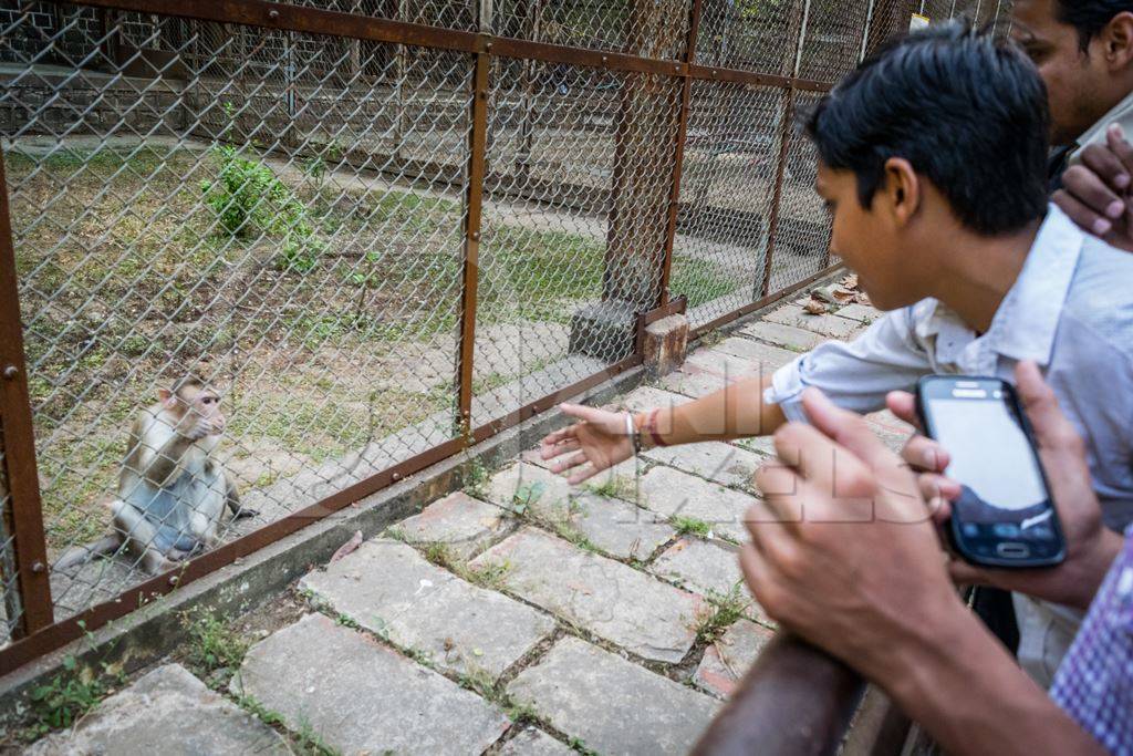 Visitors watching monkeys through the bars in Byculla zoo