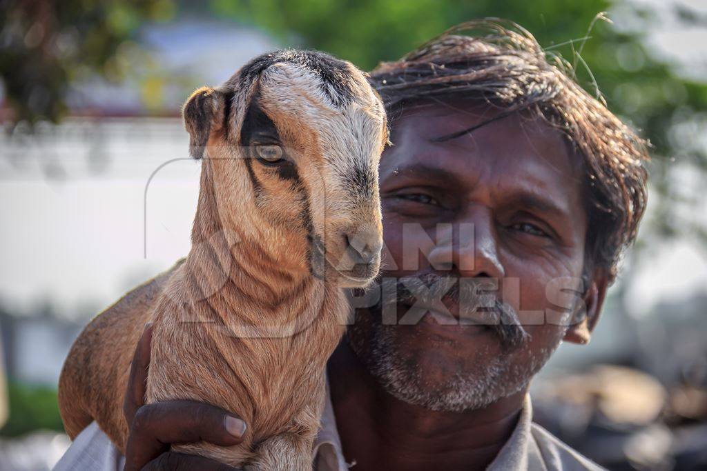 Farmer holding small cute baby goat in an urban city