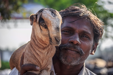 Farmer holding small cute baby goat in an urban city