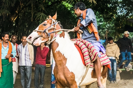 One man riding a brown and white horse at a horse race at Sonepur horse fair