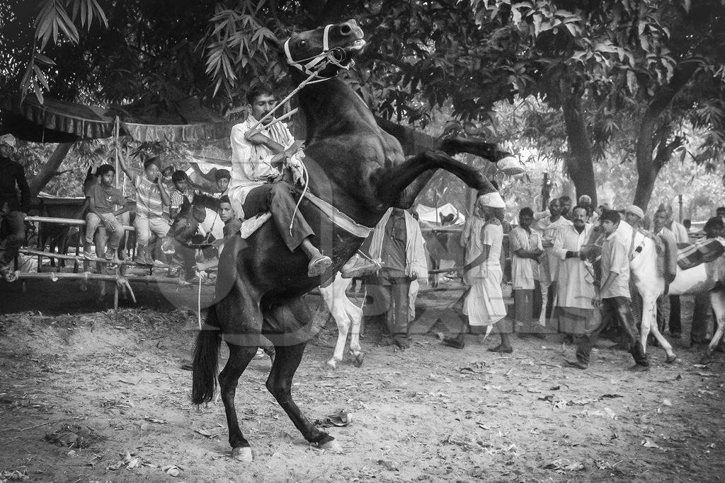 Man riding horse in horse race at Sonepur horse fair in black and white