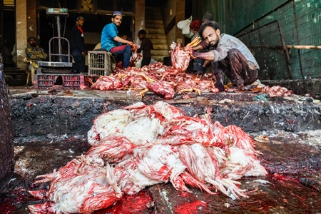 Workers dismembering dead Indian broiler chickens at the slaughterhouse inside Ghazipur murga mandi, Ghazipur, Delhi, India, 2022