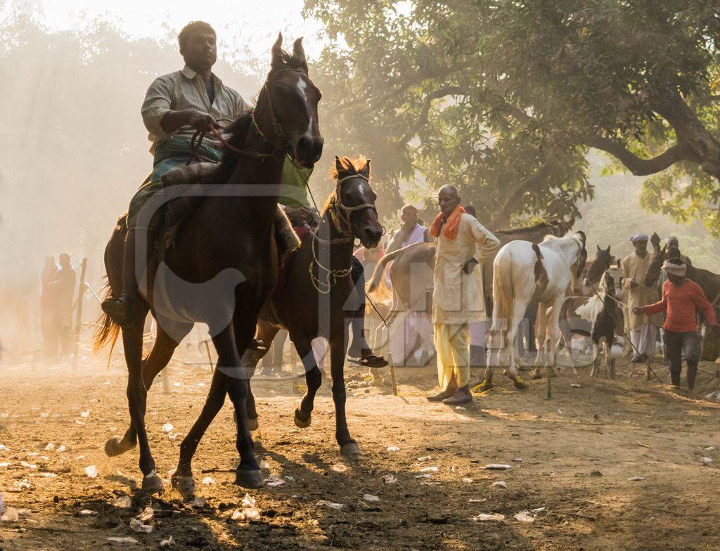Horses being ridden for horse racing with spectators watching the races at Sonepur cattle fair