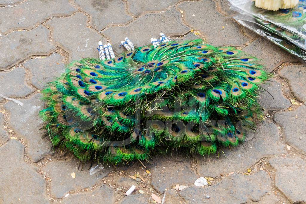 Sellers with green peacock feather fans on sale in street