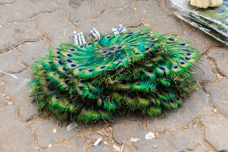 Sellers with green peacock feather fans on sale in street