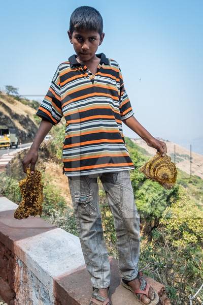 Boy holding pieces of yellow honeycomb with dead honey bees visible on sale on the side of the road