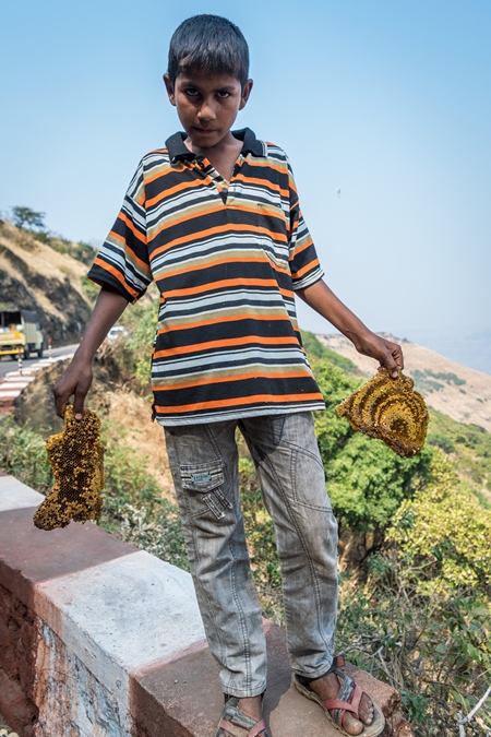 Boy holding pieces of yellow honeycomb with dead honey bees visible on sale on the side of the road