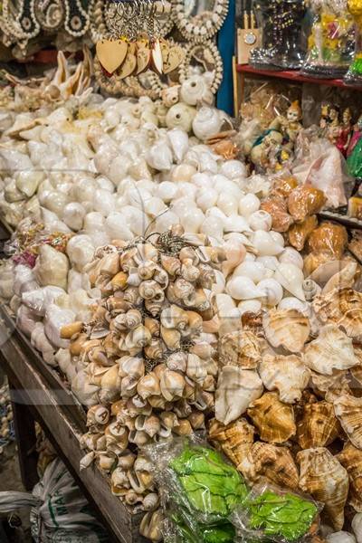 Marine shells for sale in shop in tourist beach resort in Goa, India