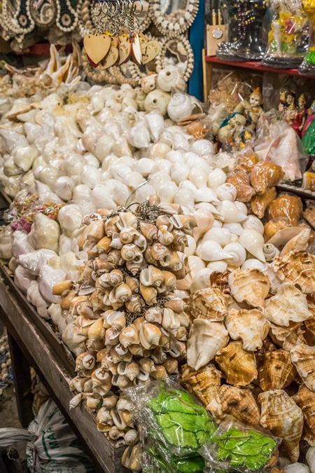 Marine shells for sale in shop in tourist beach resort in Goa, India