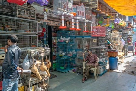 Stacks of cages containing exotic birds including Cockatoos  at Crawford pet market in Mumbai