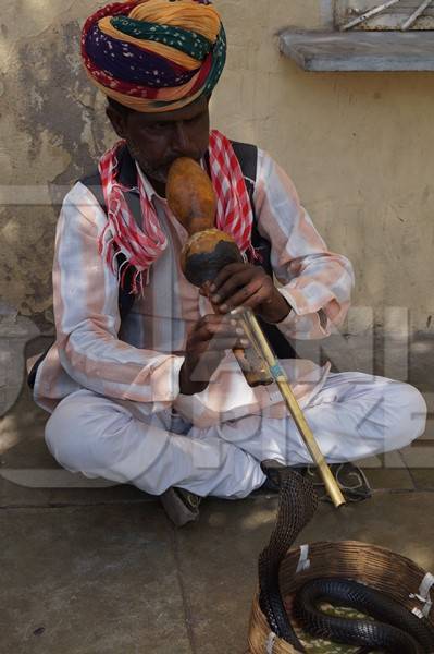 Snake charmer at work on the street playing the pungi