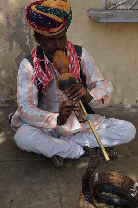 Snake charmer at work on the street playing the pungi