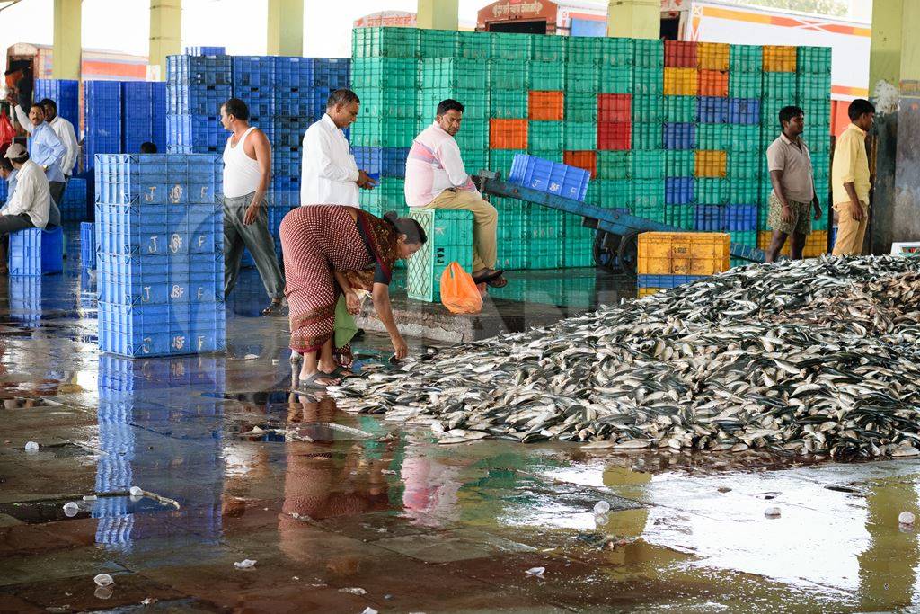 Large pile of fish on sale with buyers and crates at a fish market at Sassoon Docks