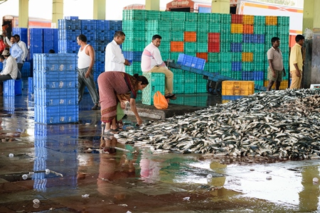 Large pile of fish on sale with buyers and crates at a fish market at Sassoon Docks