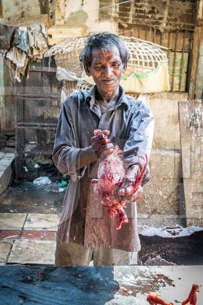 Man removing skin and feathers from a dead chicken at a chicken shop