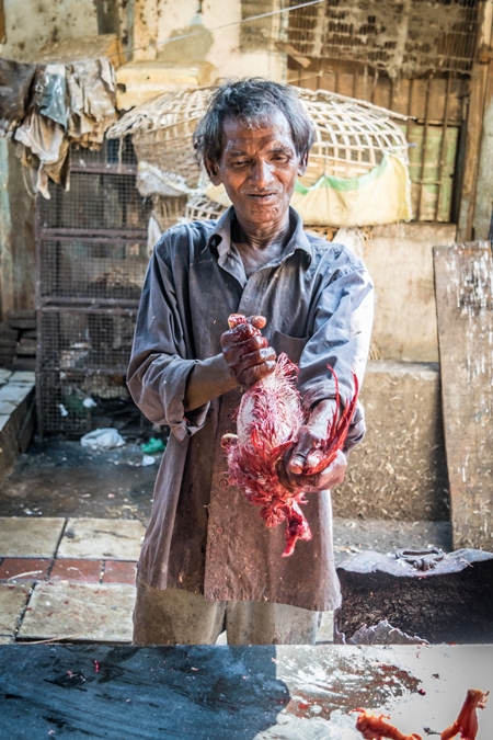 Man removing skin and feathers from a dead chicken at a chicken shop