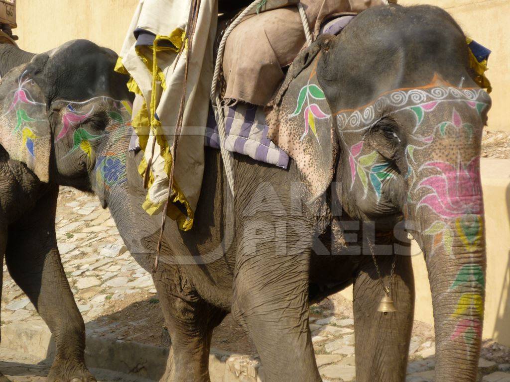 Two painted elephants being ridden at Amber Fort