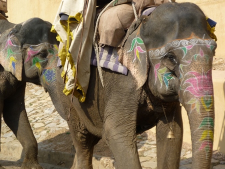 Two painted elephants being ridden at Amber Fort
