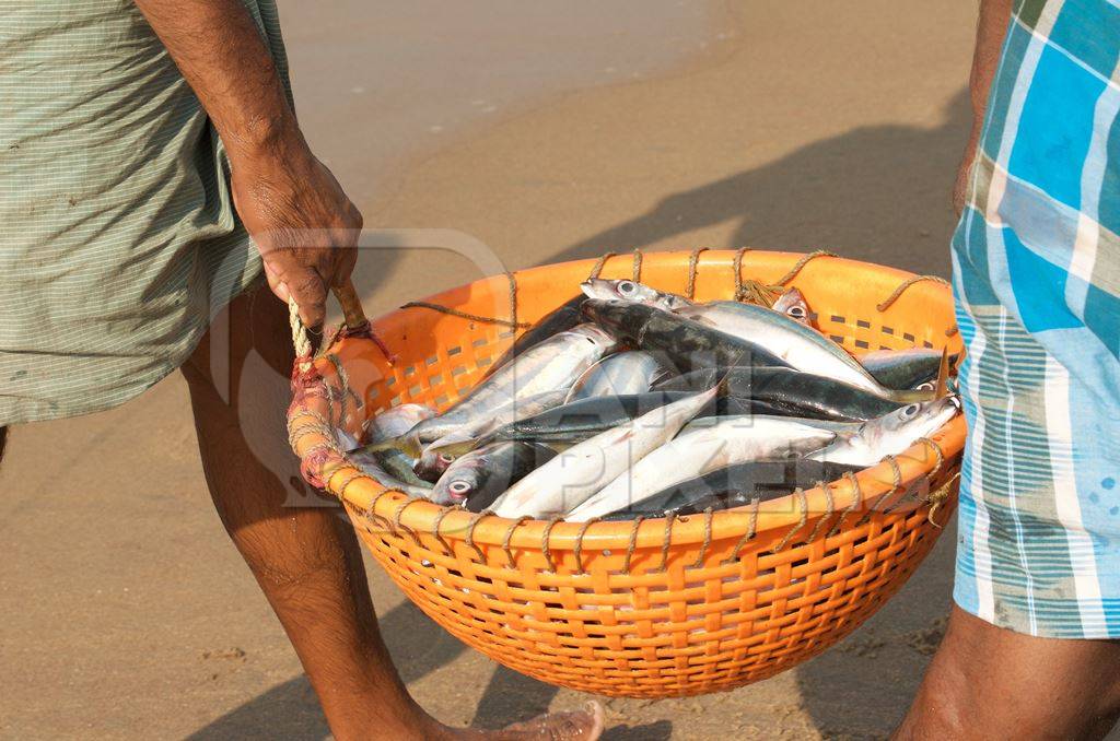 Fishermen carrying fish along the beach