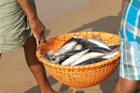 Fishermen carrying fish along the beach