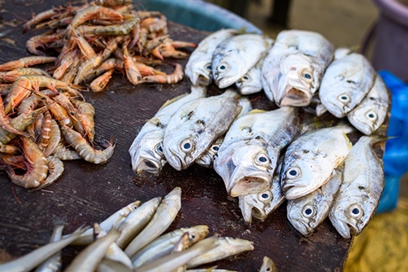 Small dead Indian fish on sale at Malvan fish market on beach in Malvan, Maharashtra, India, 2022