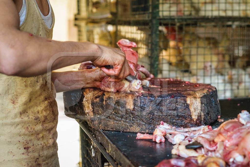 Butcher chopping up chicken at chicken shop at Crawford meat market