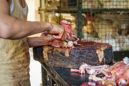 Butcher chopping up chicken at chicken shop at Crawford meat market