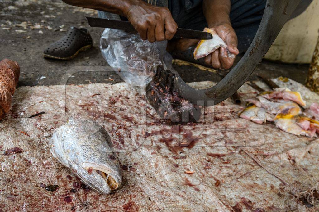 Worker cutting up dead fish at the fish market inside New Market, Kolkata, India, 2022