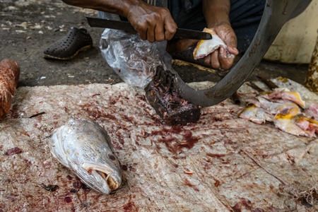 Worker cutting up dead fish at the fish market inside New Market, Kolkata, India, 2022