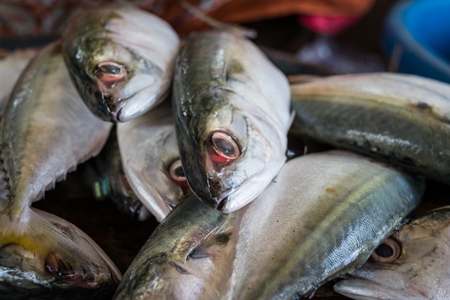 Fish on sale at a fish market