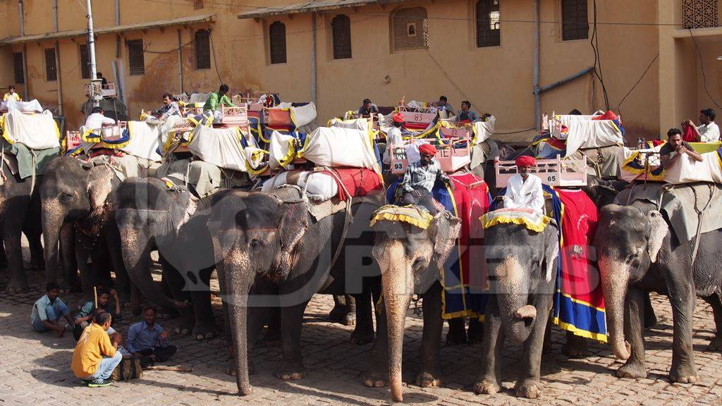 Men sitting on many decorated elephants at Amber Fort