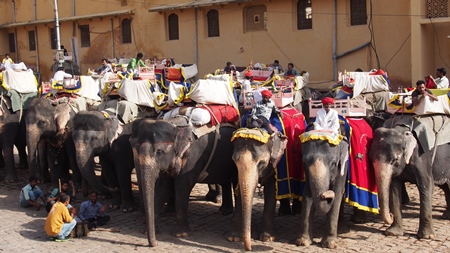 Men sitting on many decorated elephants at Amber Fort