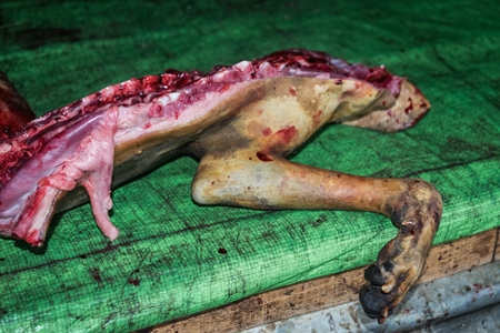 Dead dogs being cut up for meat at a dog market in Kohima in Nagaland, India, 2018