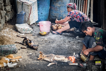 Dogs clubbed to death, blowtorched, then sold for meat at a dog market in Nagaland, India, 2018